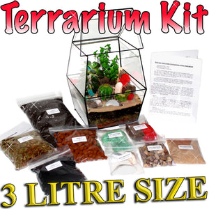 STEP-BY-STEP GUIDE TO PLANTING YOUR TERRARIUM