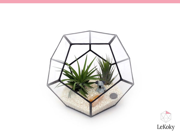 Dodecahedron terrarium made from the template