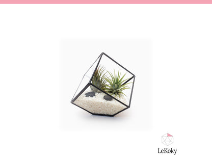Cube Terrarium Template, Printable PDF Glass Cutting Pattern