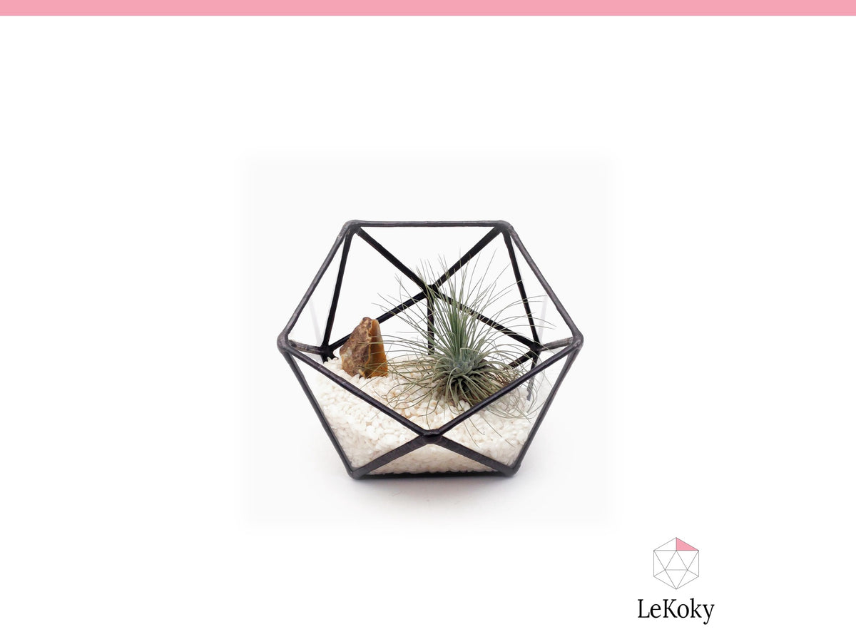 Icosahedron Terrarium Template, Printable PDF Glass Cutting Pattern