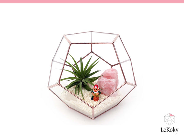 Dodecahedron terrarium made from the template