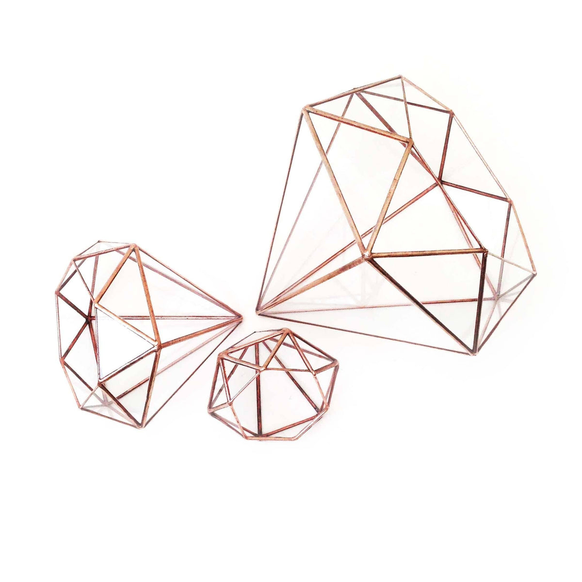 LeKoky Terrariums DIAMOND Geometric Glass Terrarium Mega / Bright Copper made by Lenka in Southampton England
