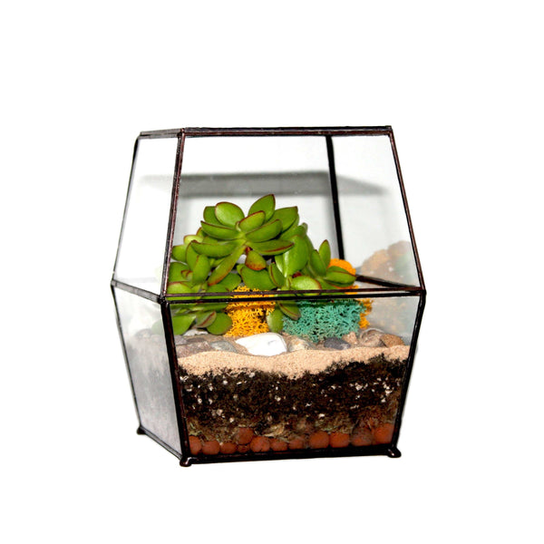 LeKoky Terrariums ENCLOSED EXTRUDED CUBE [Small, Black] Geometric Glass Terrarium Rustic Copper made by Lenka in Southampton England