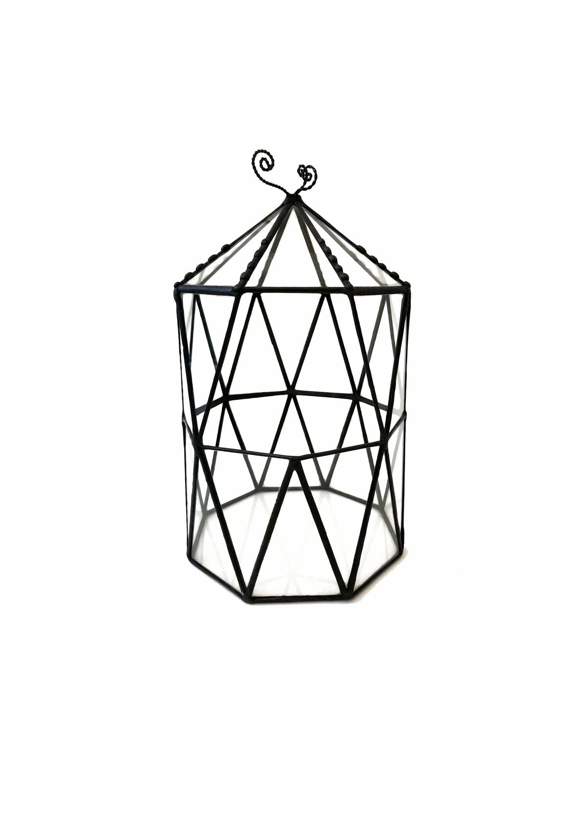 LeKoky Terrariums OCTAGONAL CAGE Geometric Glass Terrarium Small / Black made by Lenka in Southampton England