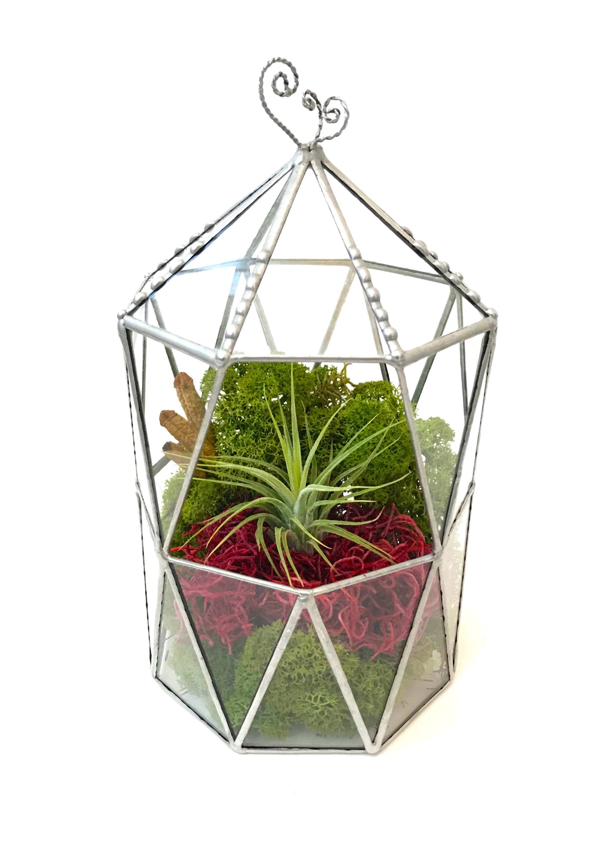 LeKoky Terrariums OCTAGONAL CAGE Geometric Glass Terrarium Small / Silver made by Lenka in Southampton England