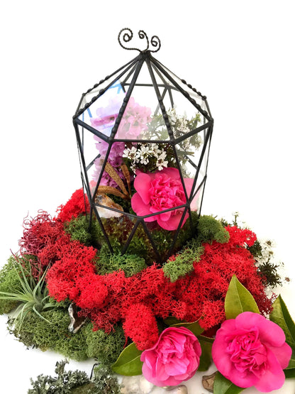 LeKoky Terrariums OCTAGONAL CAGE Geometric Glass Terrarium made by Lenka in Southampton England