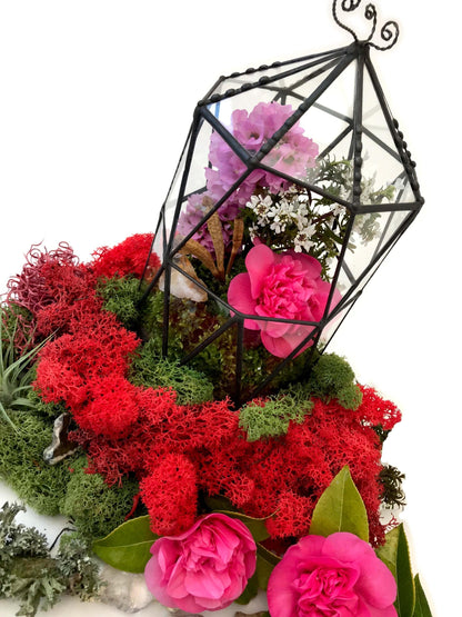 LeKoky Terrariums OCTAGONAL CAGE Geometric Glass Terrarium made by Lenka in Southampton England