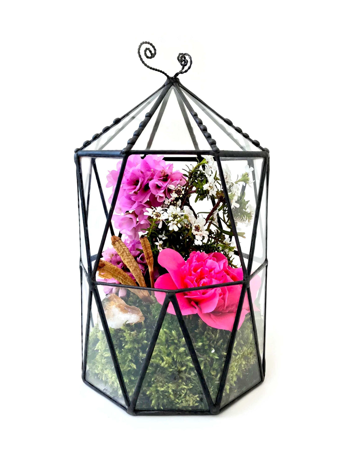 LeKoky Terrariums OCTAGONAL CAGE Geometric Glass Terrarium made by Lenka in Southampton England