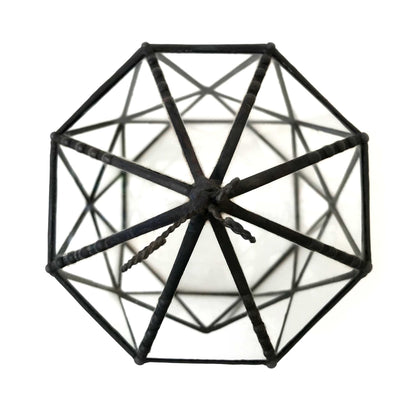 LeKoky Terrariums OCTAGONAL CAGE Geometric Glass Terrarium made by Lenka in Southampton England