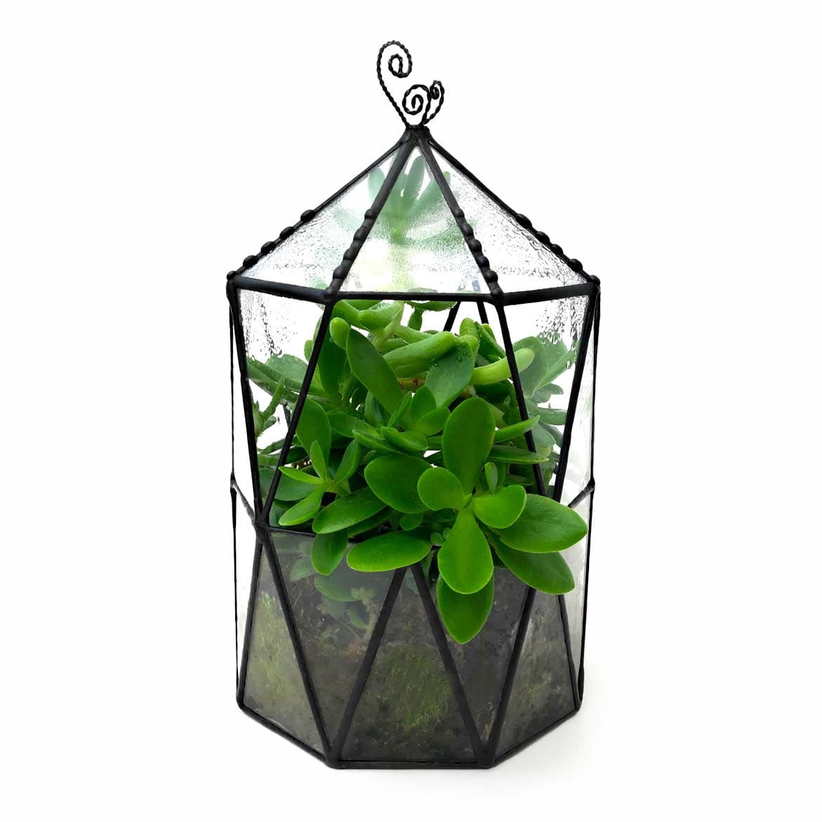LeKoky Terrariums OCTAGONAL CAGE Geometric Glass Terrarium made by Lenka in Southampton England