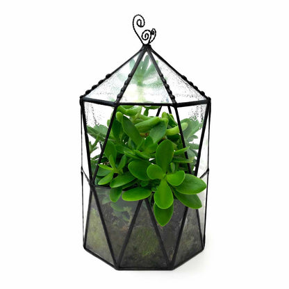 LeKoky Terrariums OCTAGONAL CAGE Geometric Glass Terrarium made by Lenka in Southampton England