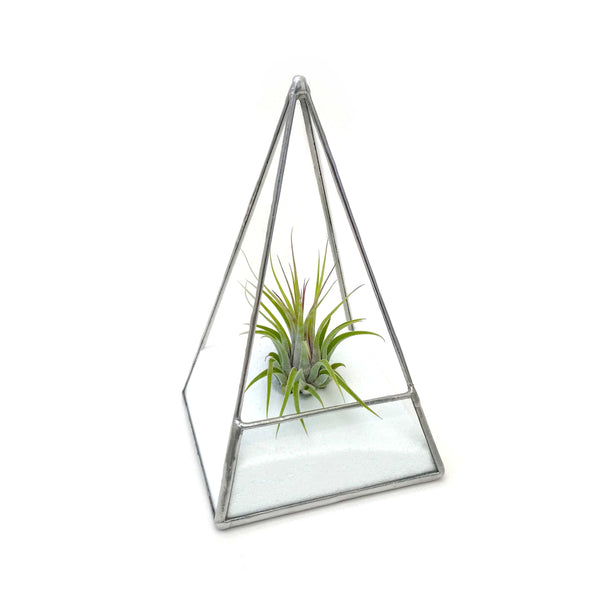 LeKoky Terrariums PYRAMID Geometric Glass Terrarium Small / Silver made by Lenka in Southampton England